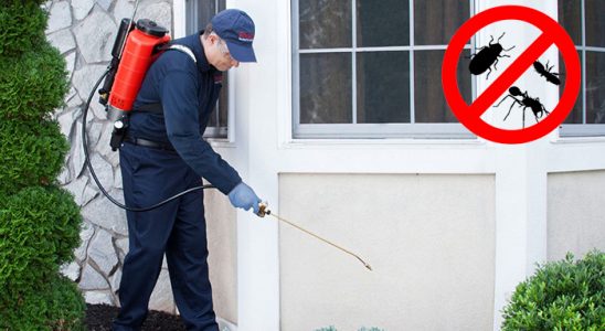 Kızıltepe Böcek İlaçlama böcek ilaçlama ve haşere kontrolü — ilaclama-tr.com
